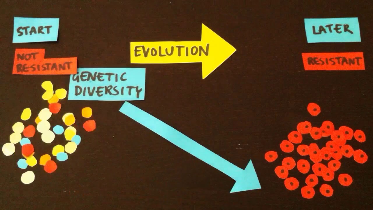 Selective sweeps in HIV