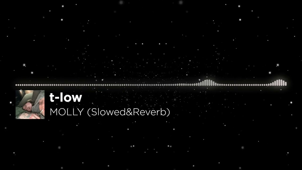 t-low - MOLLY (Slowed&Reverb)