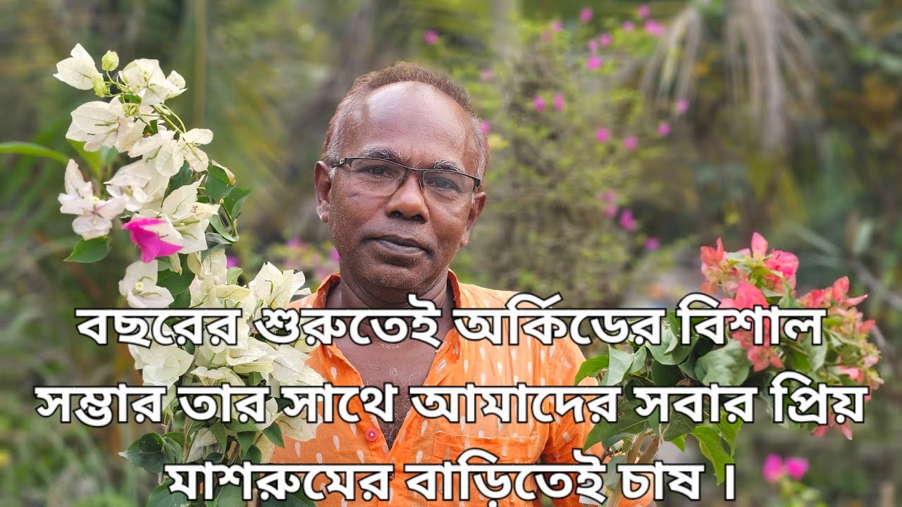 বছরের শুরুতেই অর্কিডের বিশাল সম্ভার তার সাথে আমাদের সবার প্রিয় মাশরুমের বাড়িতেই চাষ ।