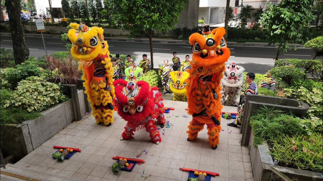 新加坡威勇體育會 Singapore Wei Yong Big Flag, War Drums, Dragon & Lion Dance Performances on 04/12/22