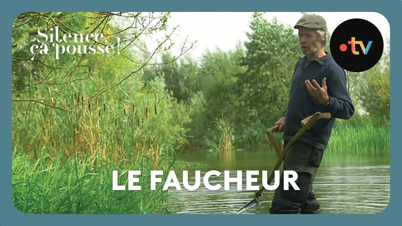 Le retour à la faux - Silence ça pousse