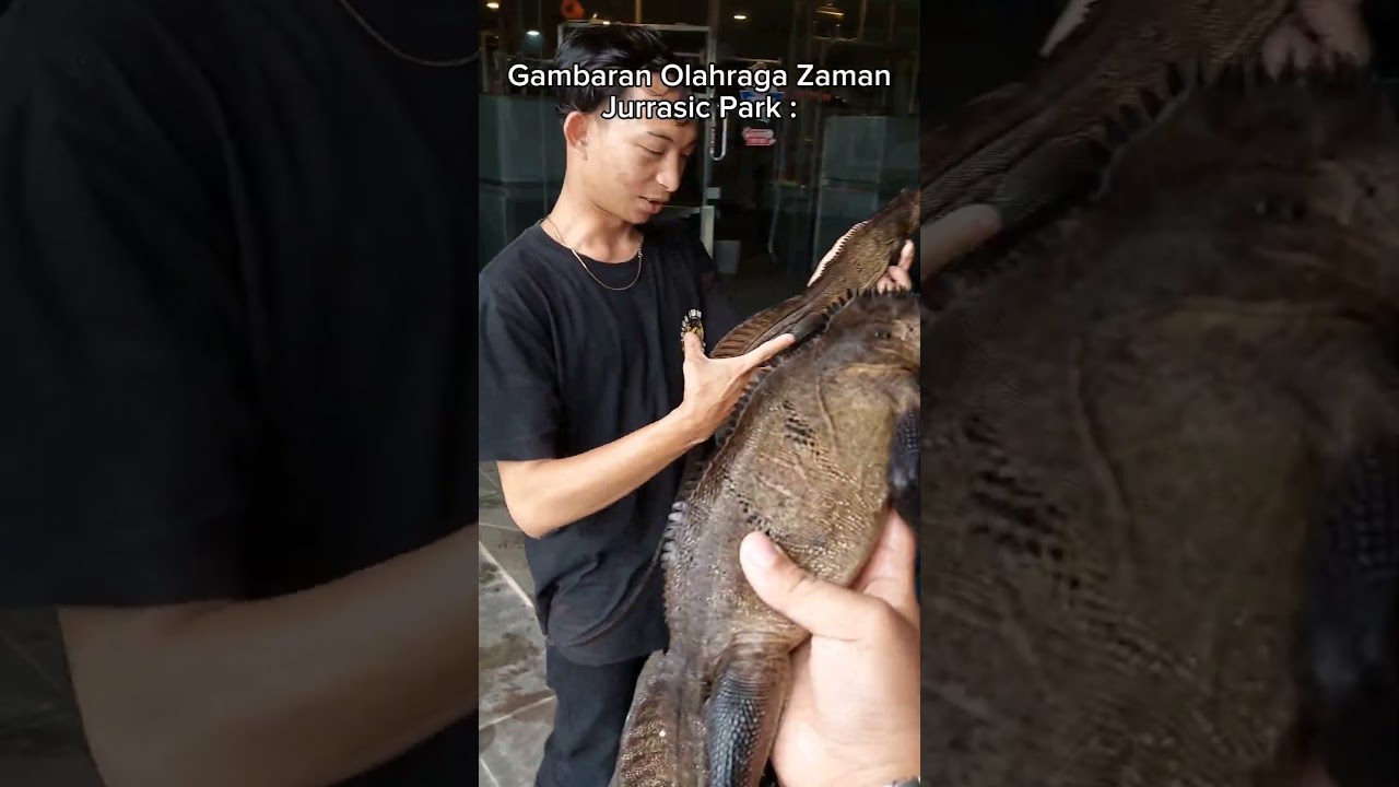 Pov lo tinggal dijaman dinosaurus :
