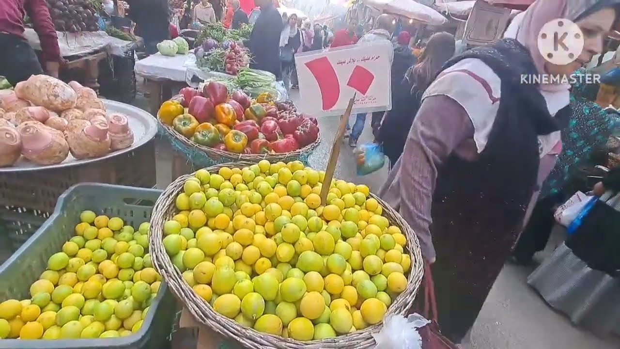 مفاجاه وجبات حلوه جدا احوال السوق وارتفاع سعر الطيور البانيه ب 270 جنيه يا للهول🔥 كوسه ب 40 جنيه