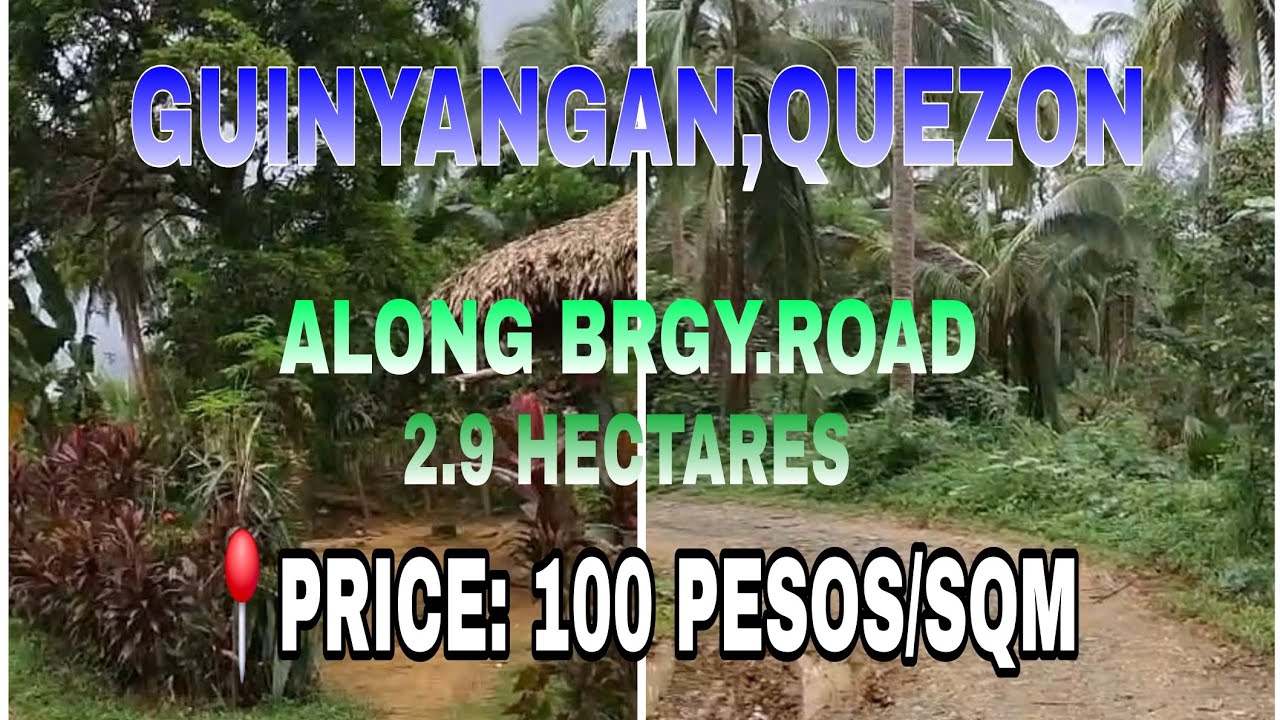 VLOG #78  📍 ALONG BRGY.ROAD