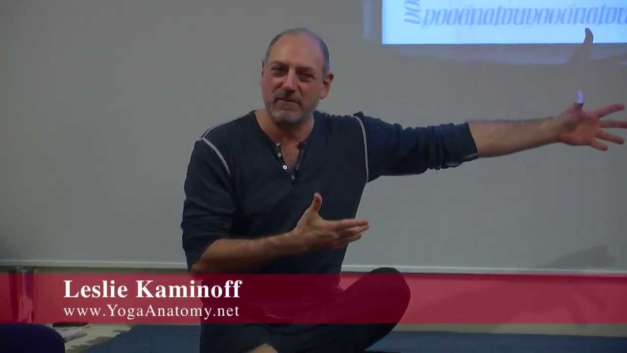 Honesty in Yoga Credentialing - Leslie Kaminoff [YogaAnatomy.net]