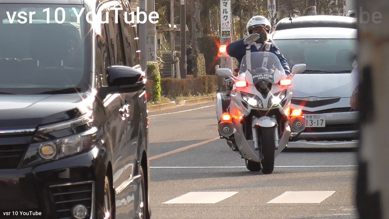 【マジ？これ見えねーのかよ…】歩行者ガン無視で通過した車両を即座に猛追する白バイ！！•バス専用レーンからごぼう抜き！大量の警察が出迎え！•レクサスBBAが停止線をぶち抜き白バイに捕まる！等