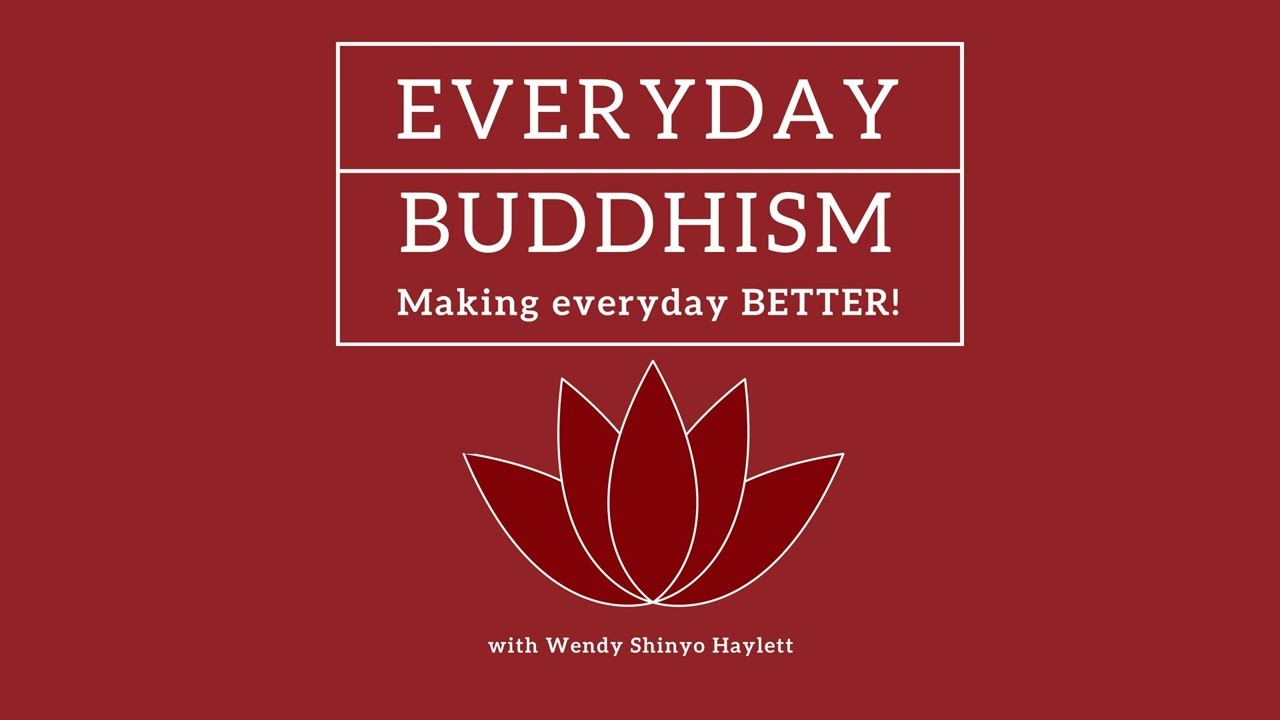 Episode Everyday Buddhism 112 - Buddhist Response to Election Angst with Scott Snibbe