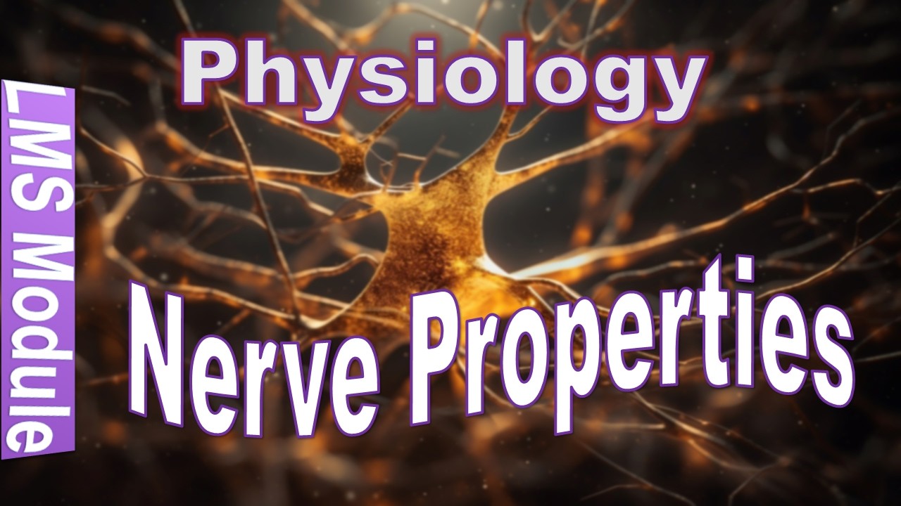 Nerve Properties part 1