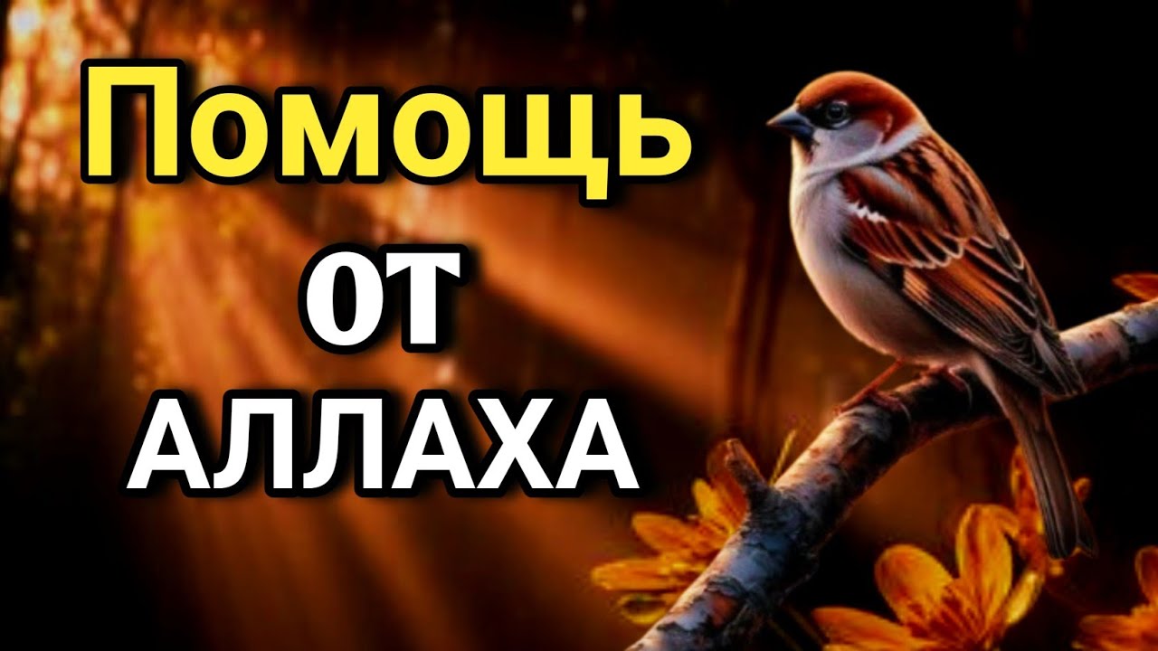 🌟💖 ОЧЕНЬ СИЛЬНЫЙ ДУА - Аллах дарует выход из любой трудности! 🤲✨💯