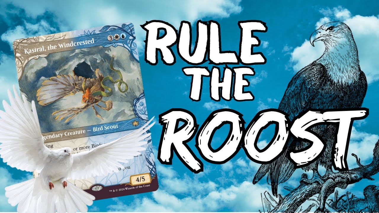 Rule the Roost | 17$ Budget EDH Deck | Kastral, the Windcrested
