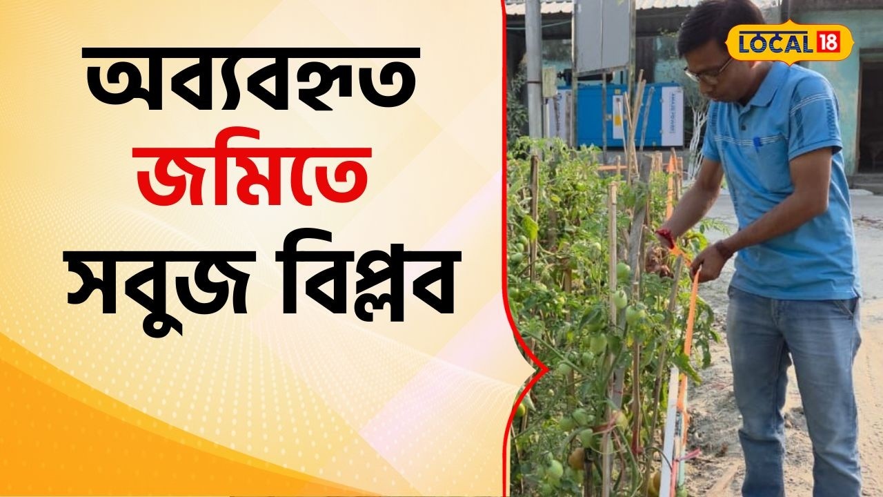 Bangla News: অব্যবহৃত জমিতে সবুজ বিপ্লব, জলপাইগুড়ির কোরক হোমে অনন্য উদ্যোগ #local18