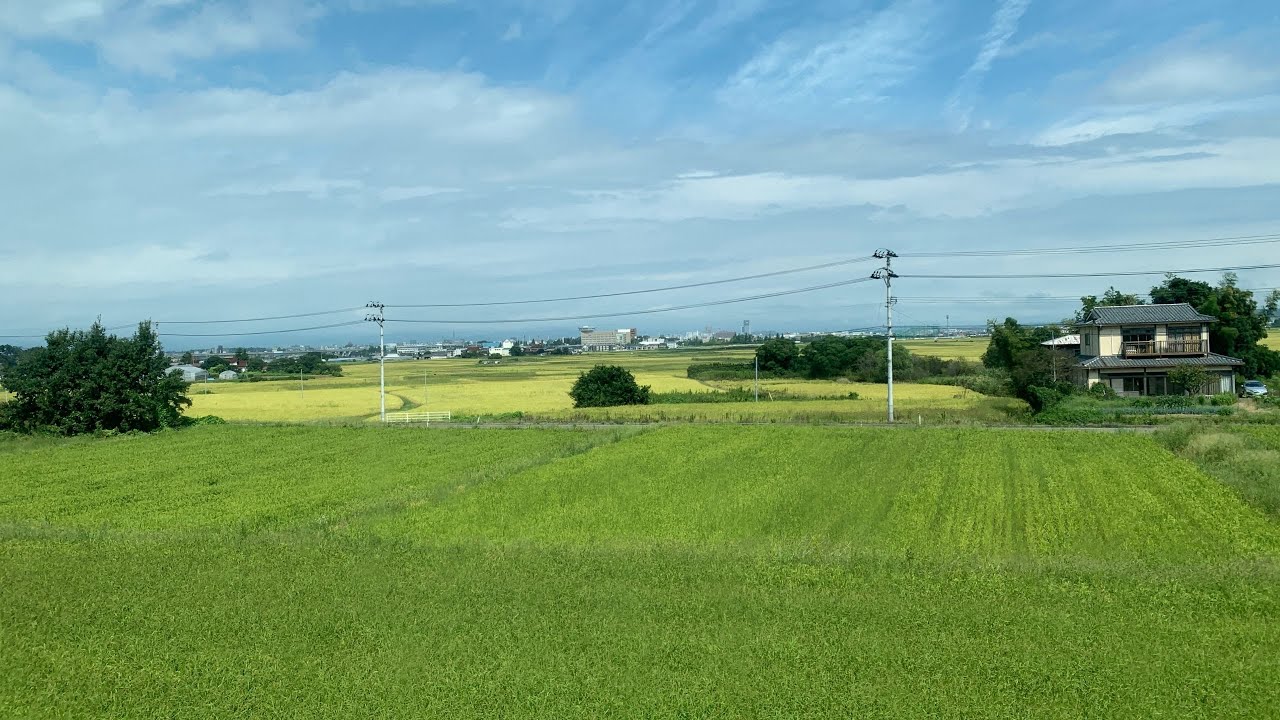 Peaceful japanese field outside warm Jazz Music  -Instrumental-