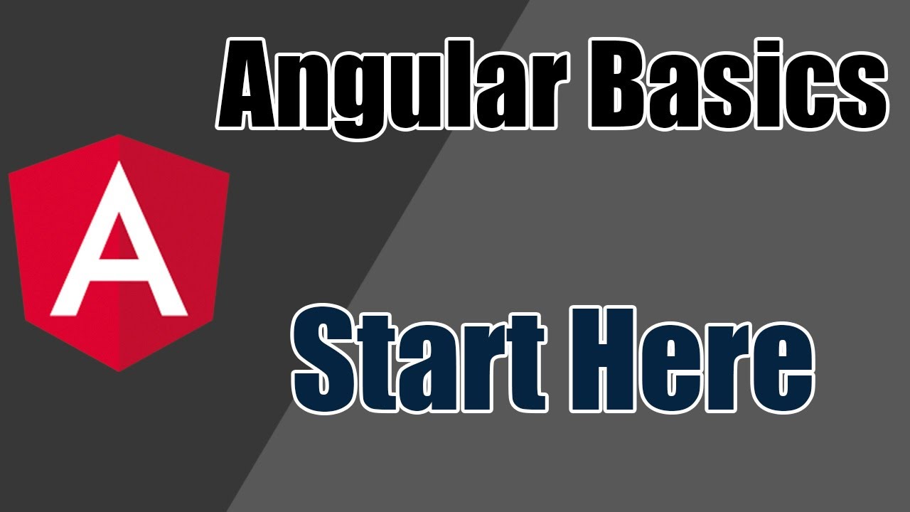 Beginner's Guide - Understanding an angular project