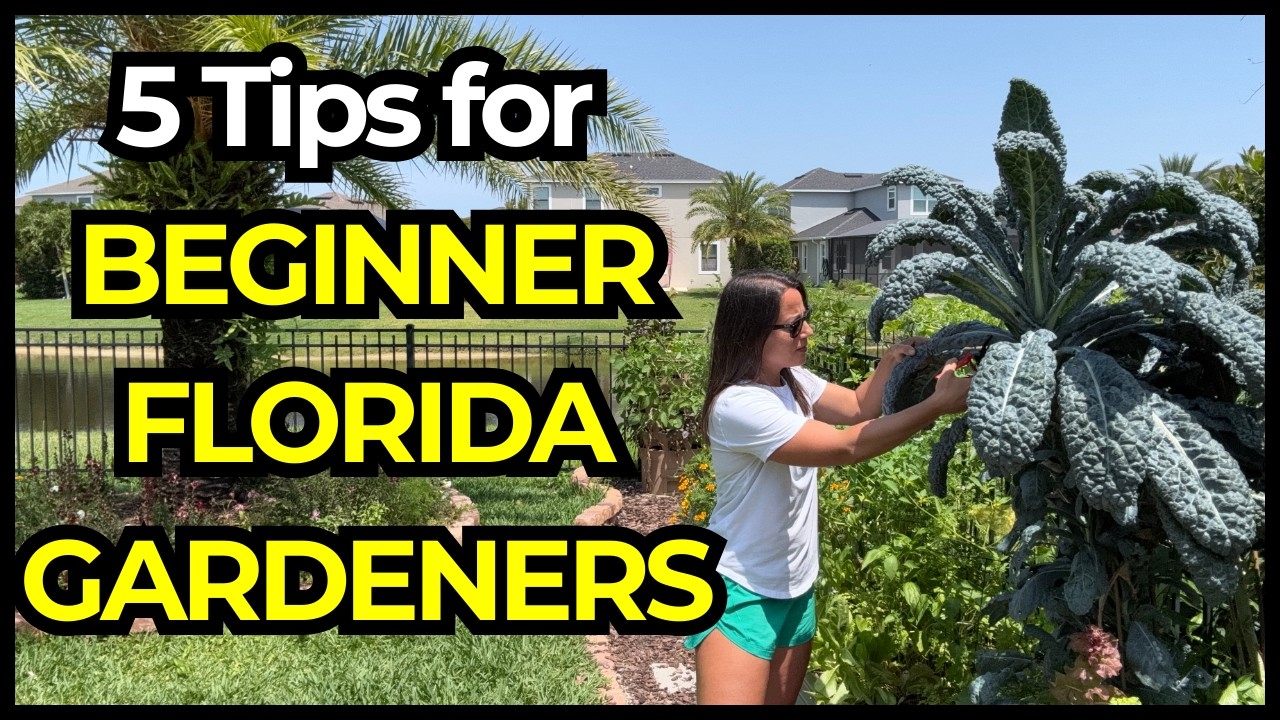 Florida Gardening for Beginners: 5 Things I Wish I Knew!