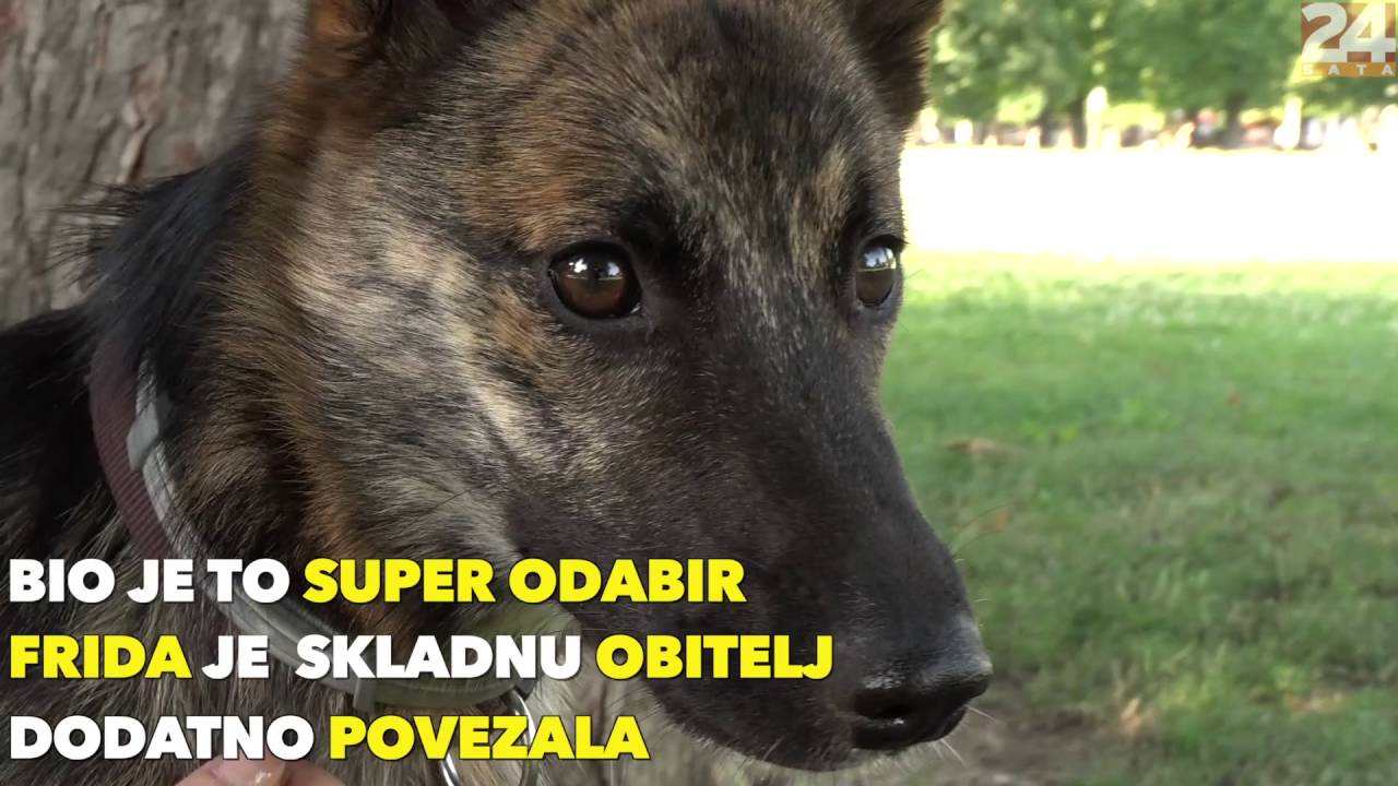 Goran Grgić udomio psa: Frida je našla bezuvjetnu ljubav