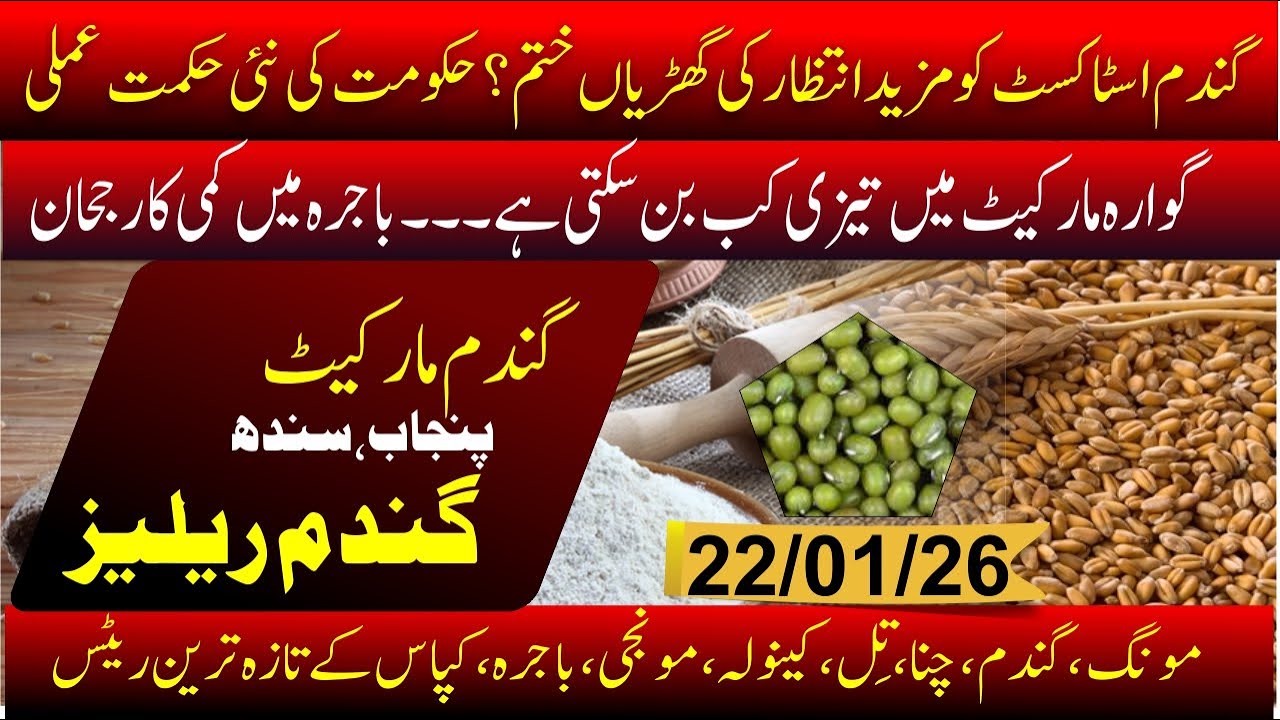Today Wheat rate 2026 | Guar price today | Sugar rate today | Bajra updated today | punjab & sindh