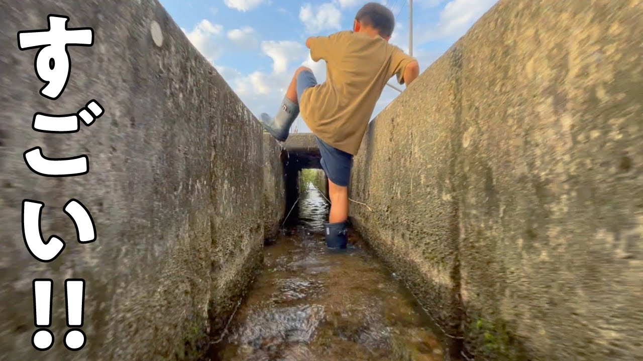 細〜い水路でスゴいの見つけた！！
