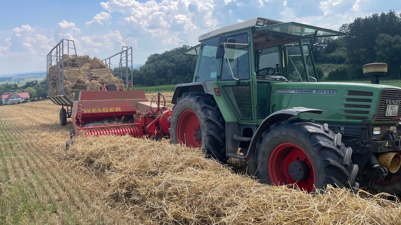 Vlog#20 Stroh pressen mit der Welger AP 53-wieviele Hundert Ballen werden es wohl⁉️🌾🥵 #vlogs #fendt