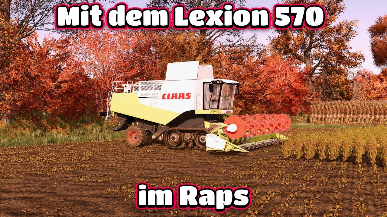 -Mit dem Lexion 570 im Raps- Diepholz#12 LS25