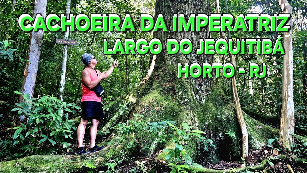 Cachoeira da Imperatriz e Largo do Jequitibá - Floresta da Tijuca | Solar da Imperatriz, Horto - RJ