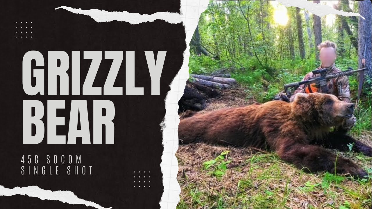 Alaska Grizzly Bear Hunt Single Shot .458 SOCOM #bearhunt