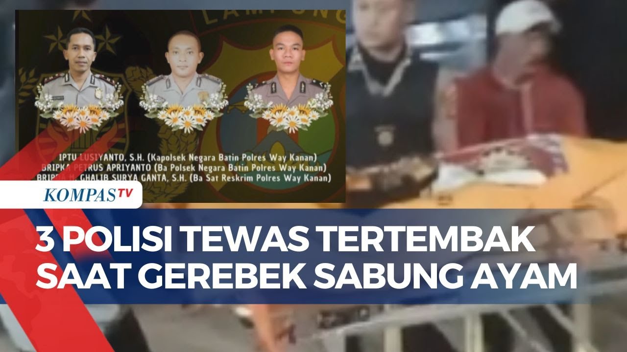 BREAKING NEWS! 3 Polisi Tewas Tertembak saat Gerebek Judi Sabung Ayam di Lampung