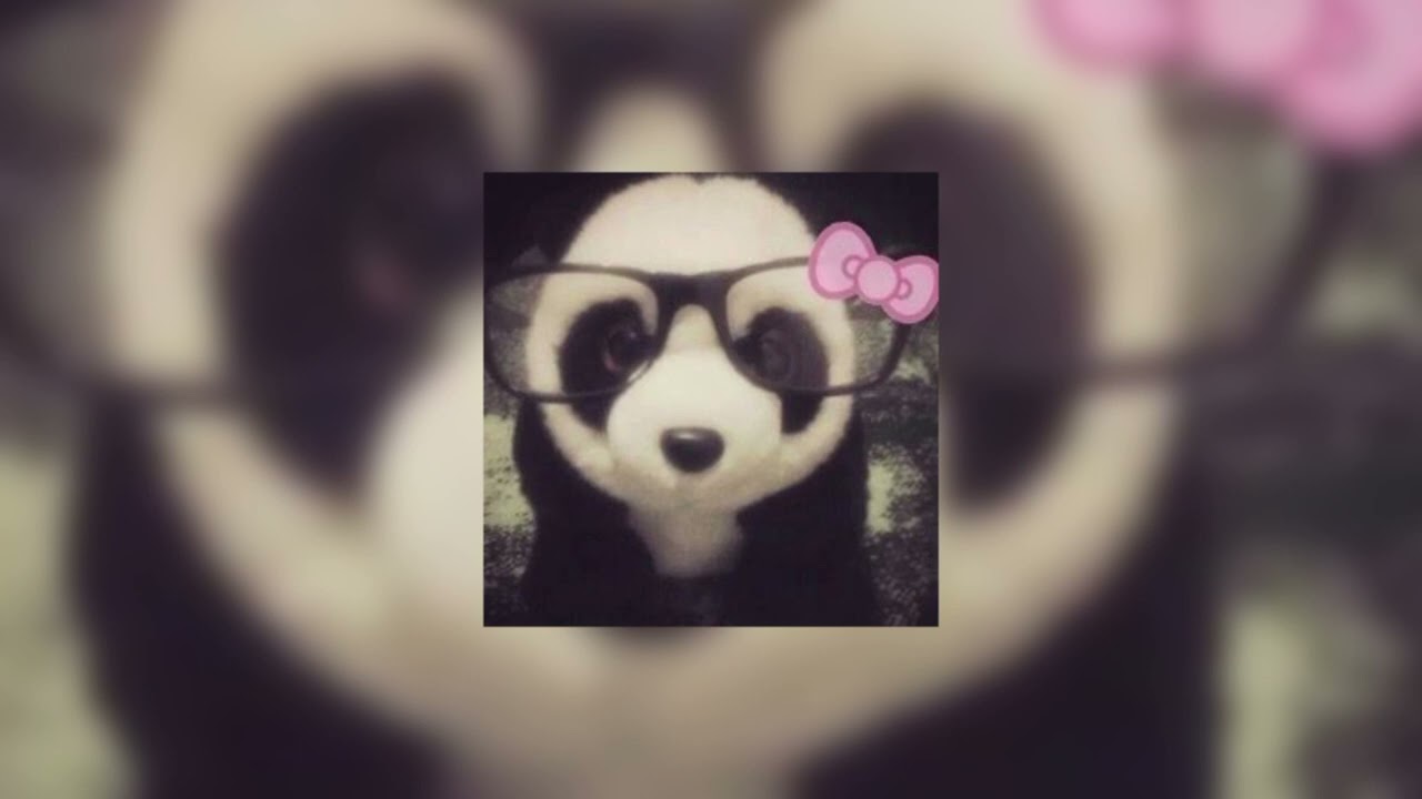 ernasta - маленькая панда (speed up)