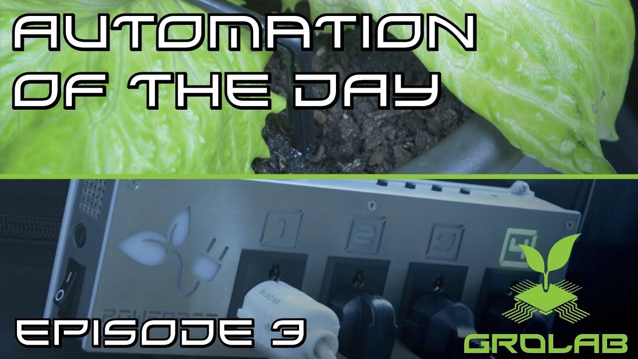 Automation of the Day E03 - Drip Irrigation System Control