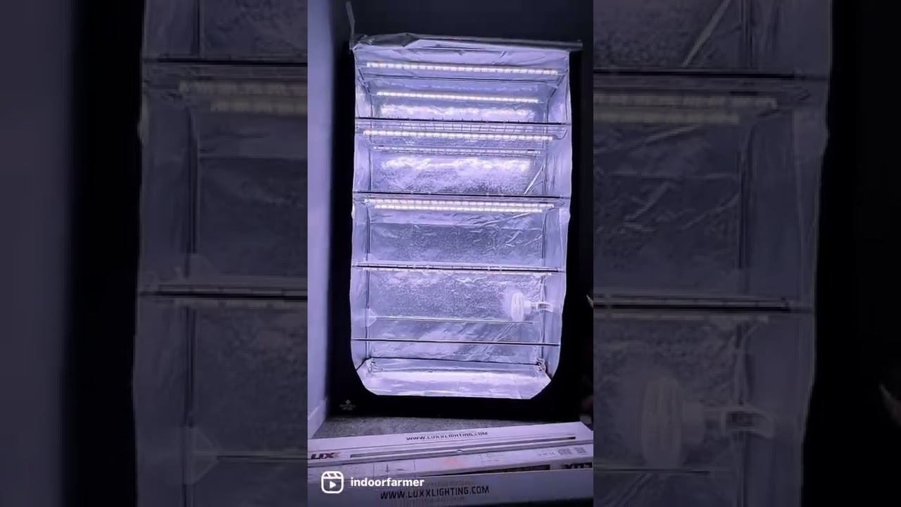 INDOOR FARMER // SECRET JARDIN DARK PROPAGATOR TENT & LUXX LIGHTING  CLONE LED LIGHTS