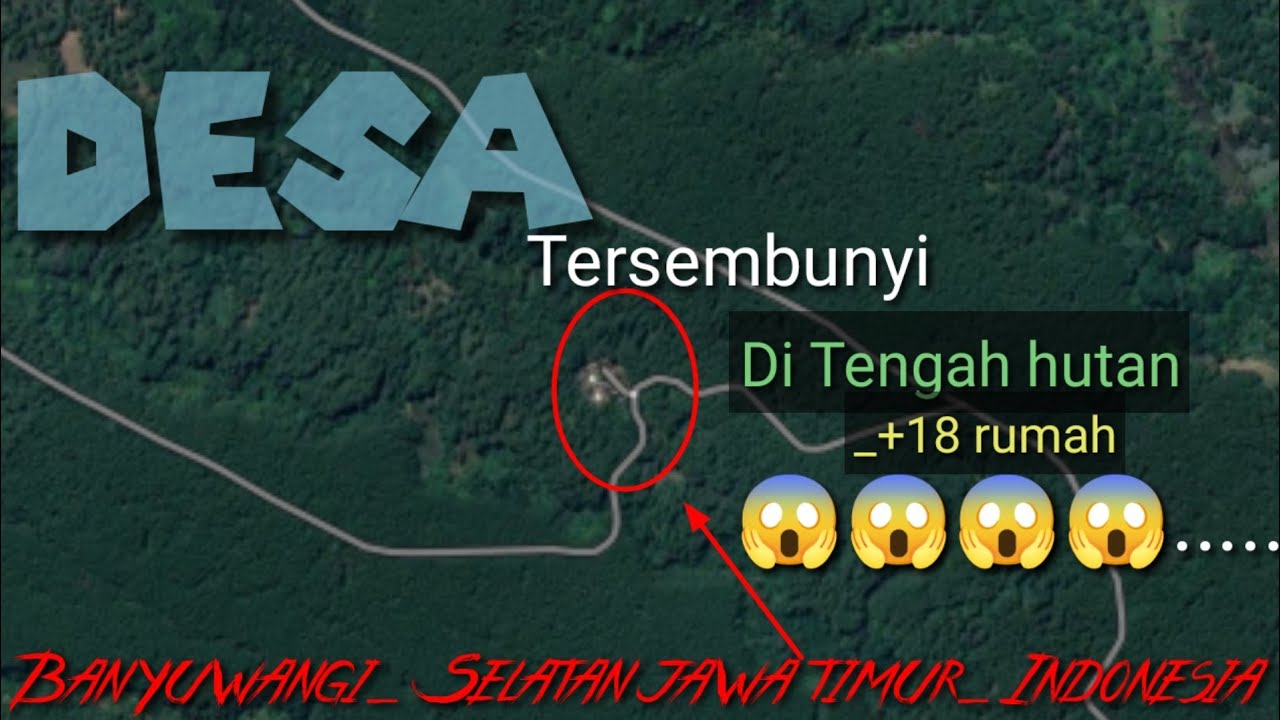 Pedalaman_Banyuwangi_SELING_JAMBEWANGI_SEMPU