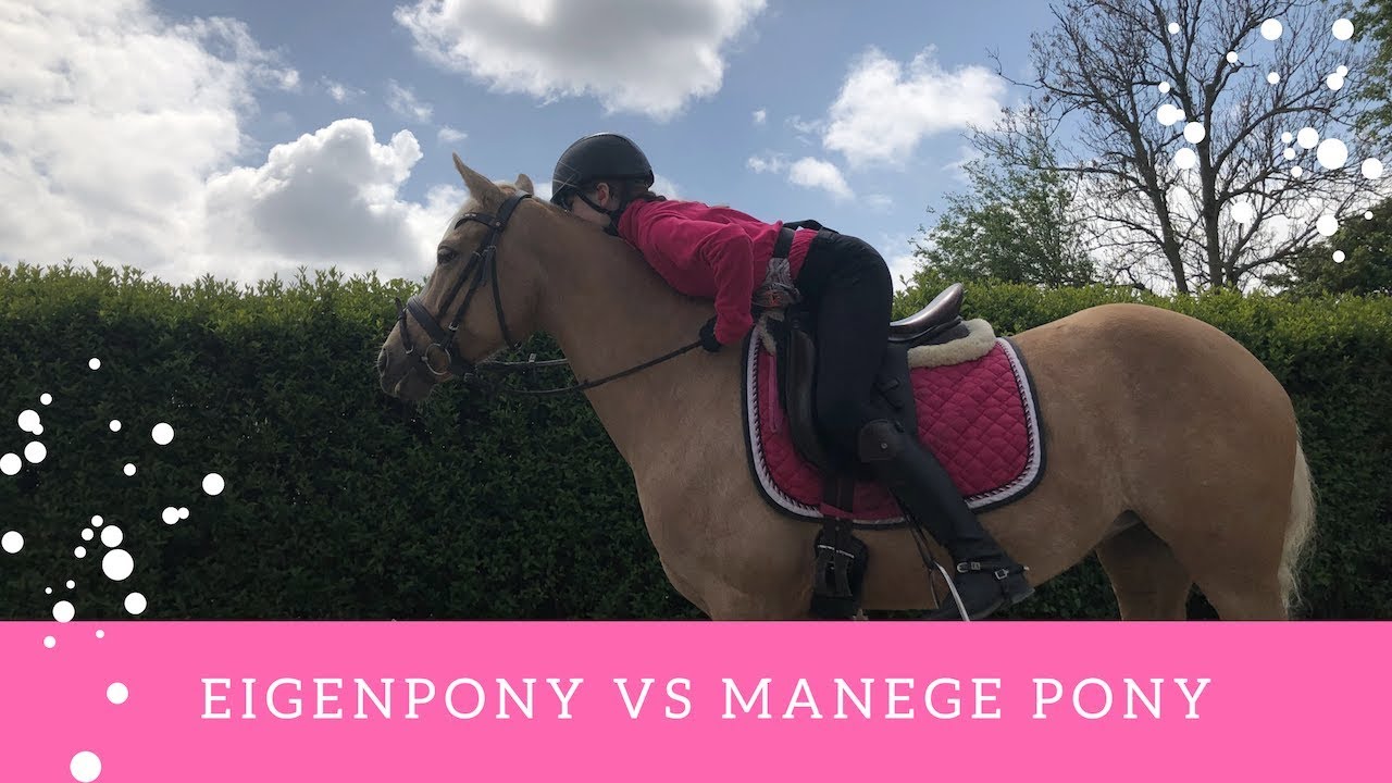 Manege pony vs eigen pony (opzadel routine)