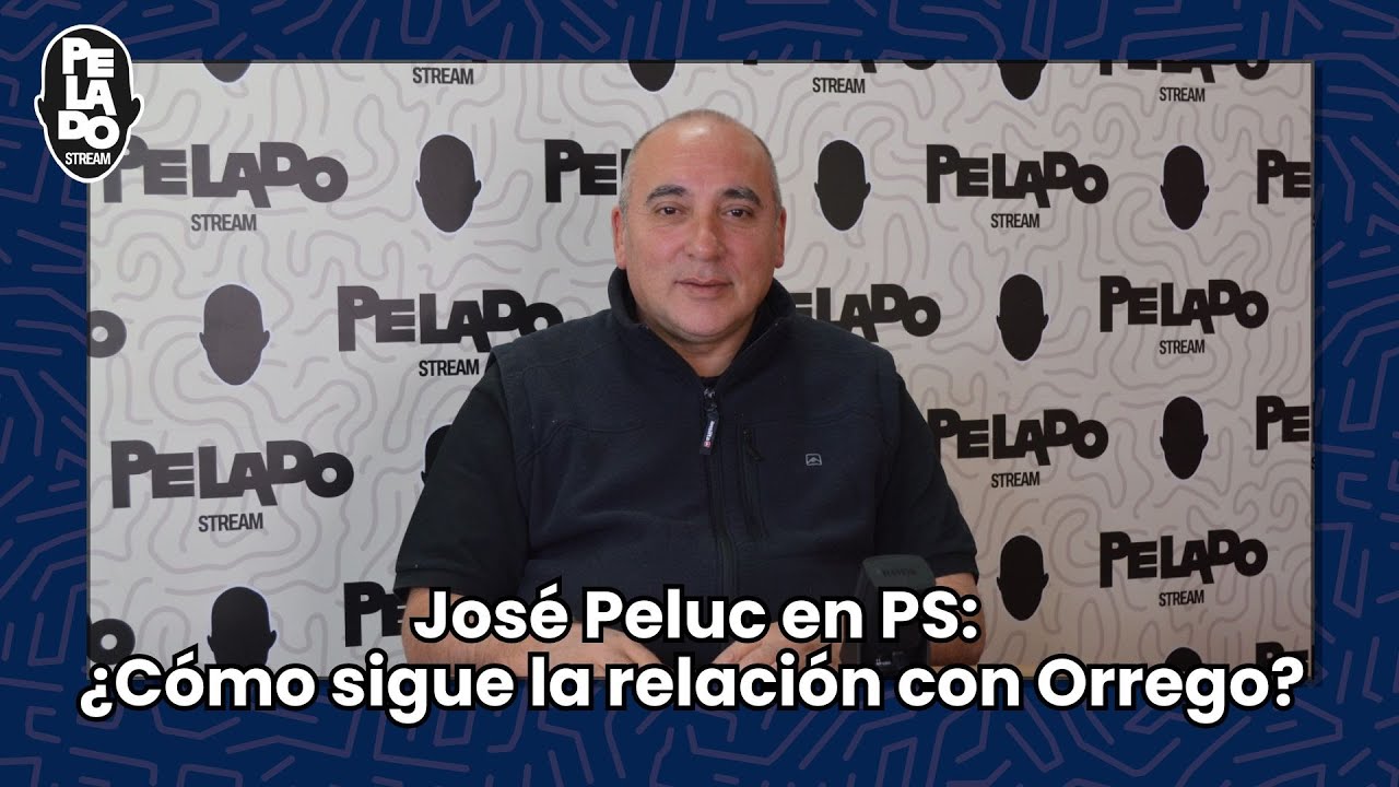 Euforia libertaria: Milei arras&oacute; en el pa&iacute;s - Jos&eacute; Peluc en PeladoStream