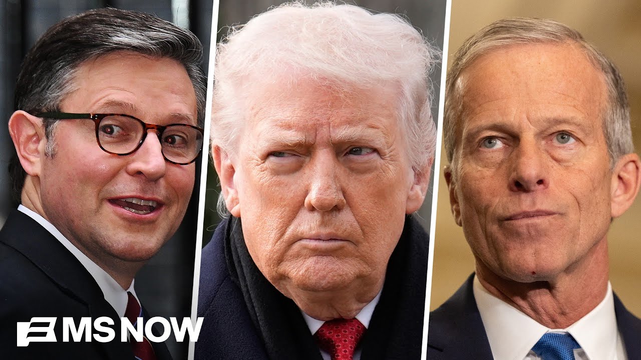 'Does Congress accept such behavior? Europe won't': EU official slams Trump's threats