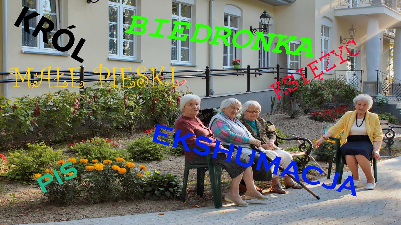 Wiadomosci eRZet Studio - #3 Pis, Ekshumacja, 11 Listopada, Korea