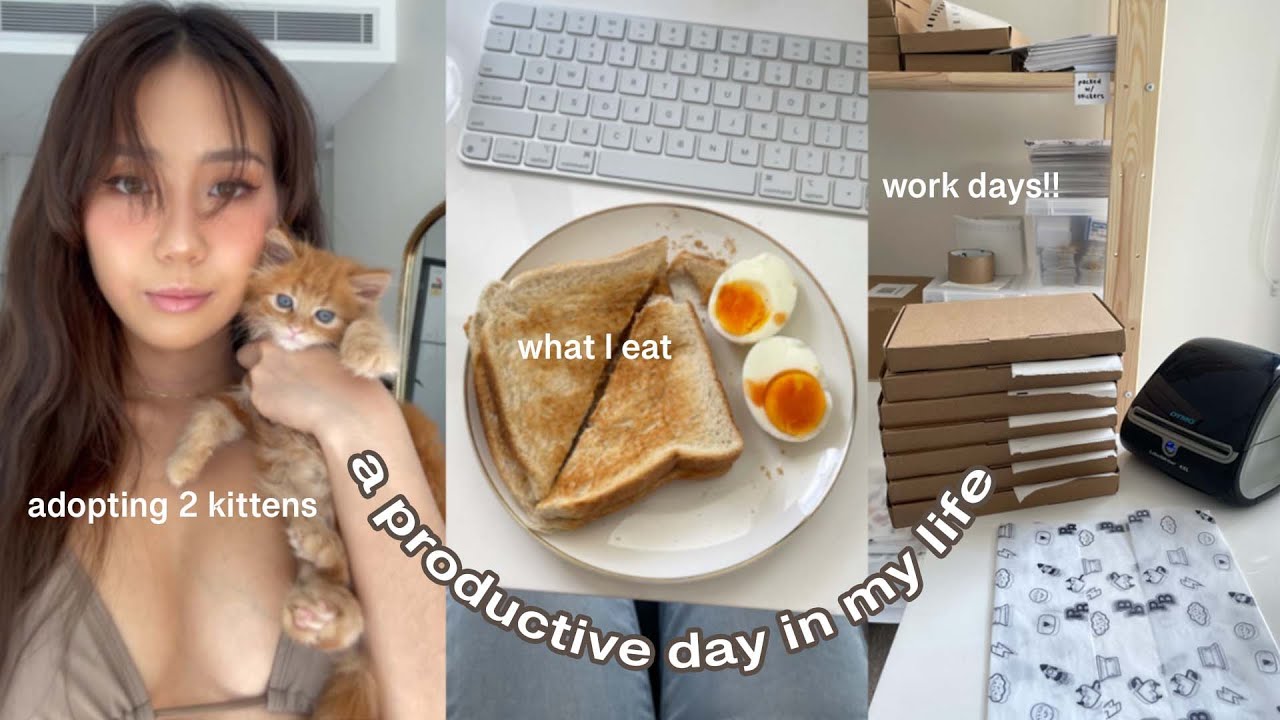 Productive day in my life 🐈 🍳 what I eat, work days & adopting kittens