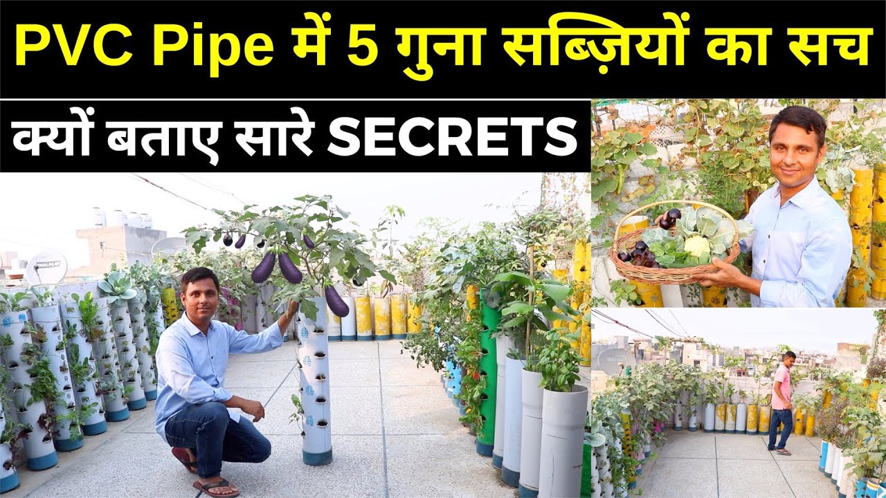 50 गज में 250 Vegetable Plants  😍 कैसी है PVC Pipe में सब्जियों की पैदावार || Unique Farming