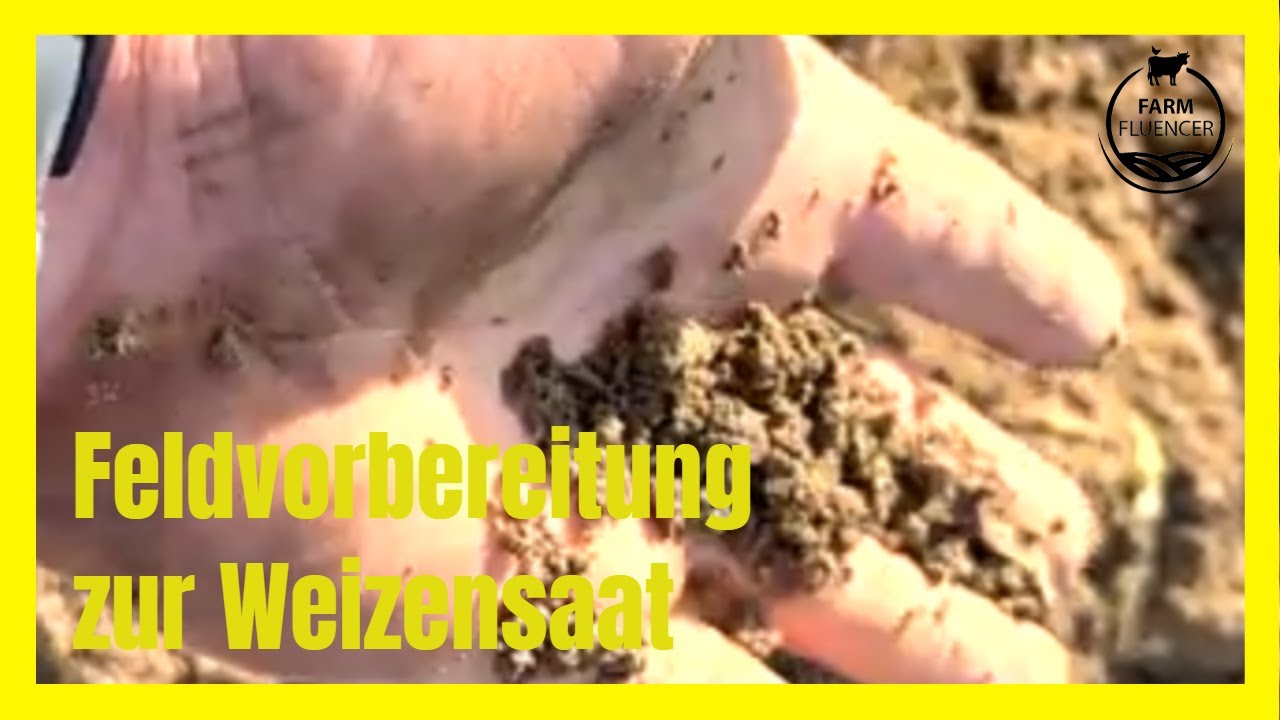 Feldvorbereitung zur Weizensaat | Vom Korn zum Brot | Urs Wegmann