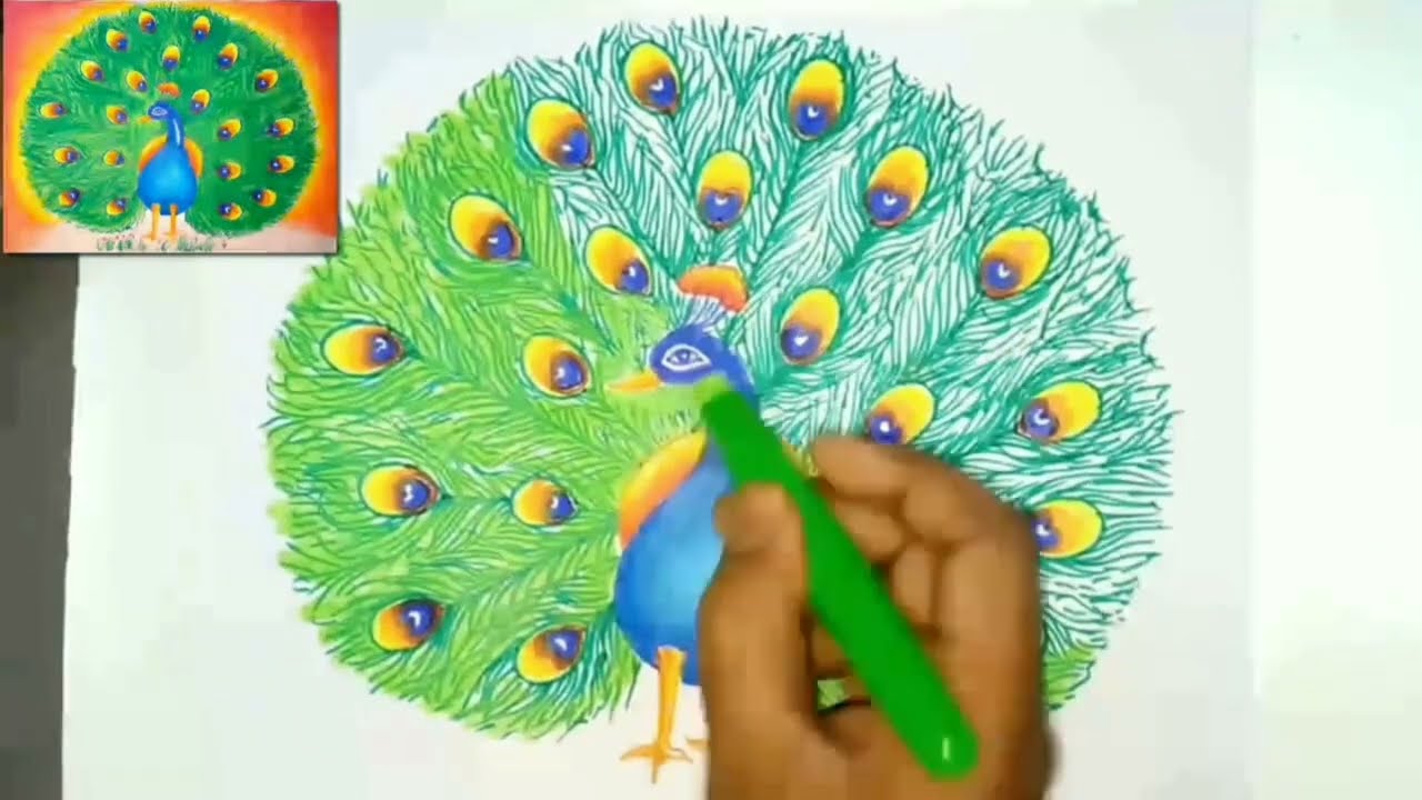 Dancing Peacock Drawing/ தோகை விரித்து ஆடும் வண்ண மயில்/Step by step /Drawing Master Vishuram