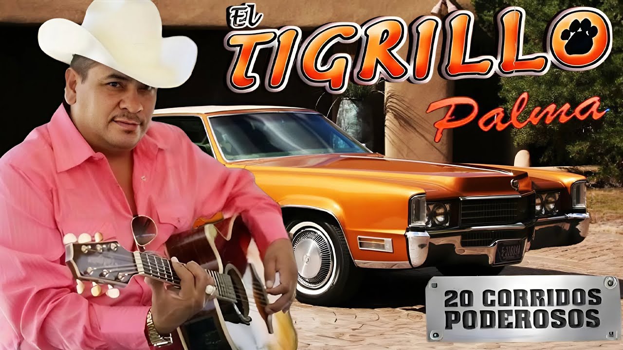 El Tigrillo Palma De Oro 🍻 20 Exitos Puros Corridos Mix Para Pistear 2025