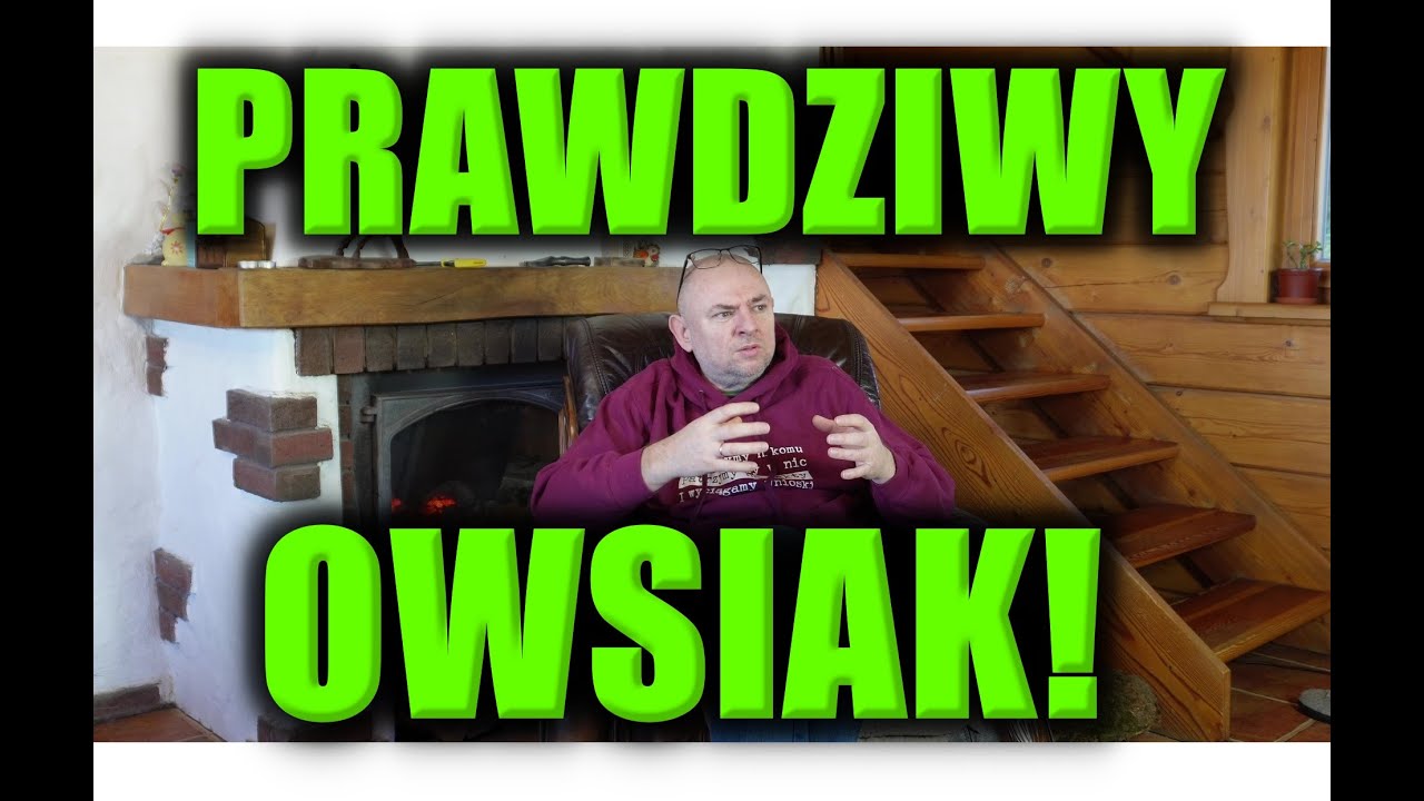 PRAWDZIWY OWSIAK!