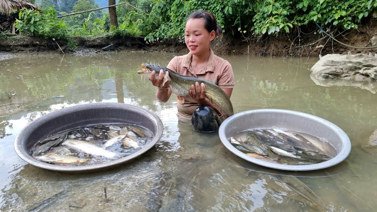 250 Days Harvest Starfruit, Duck eggs, Fish, Jackfruit, Long beans Go market sell - Build a Farm