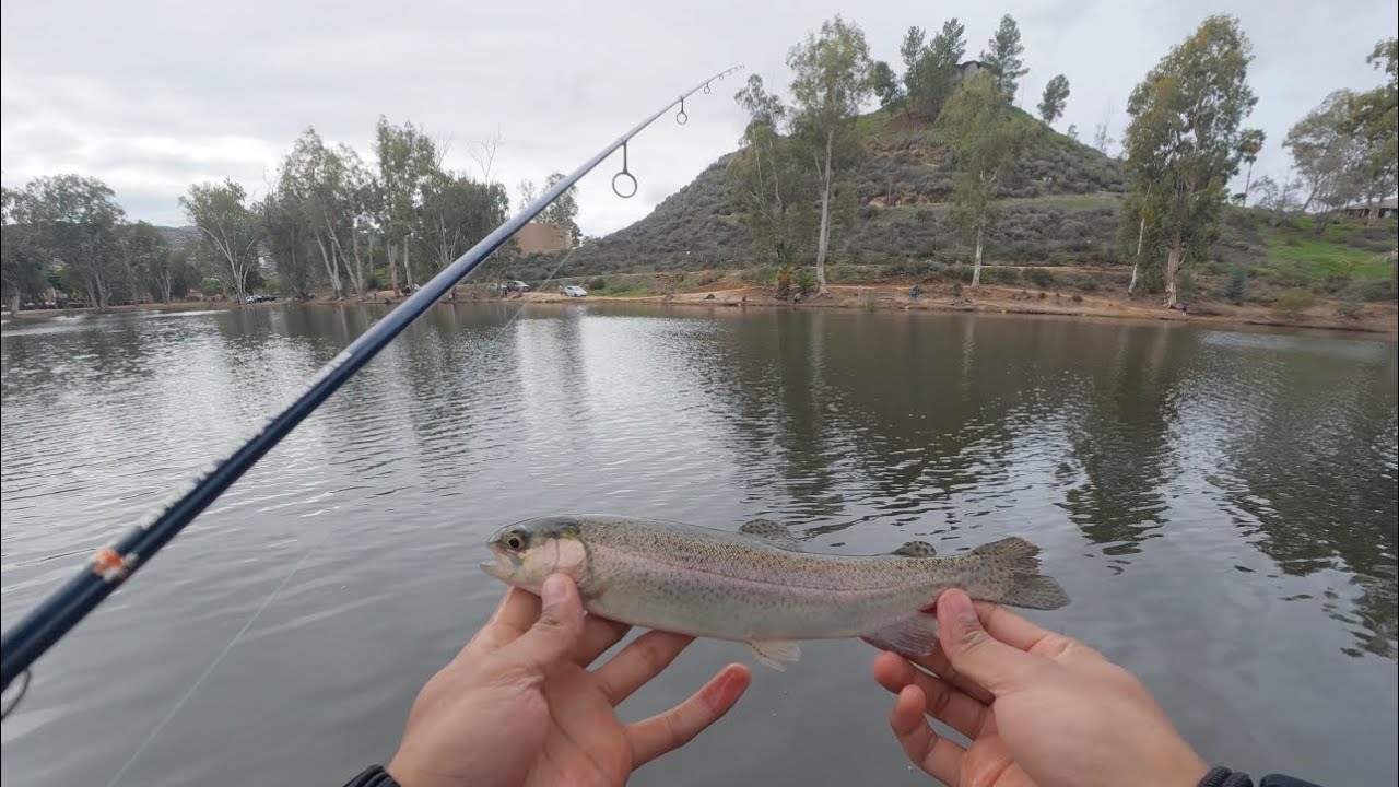 DINKFEST at LITTLE LAKE HEMET (TROUT FISHING) 