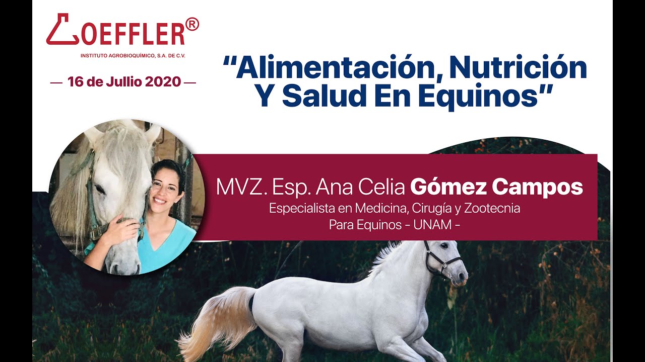 Webinar 16 Julio “Alimentación, Nutrición Y Salud En Equinos.”