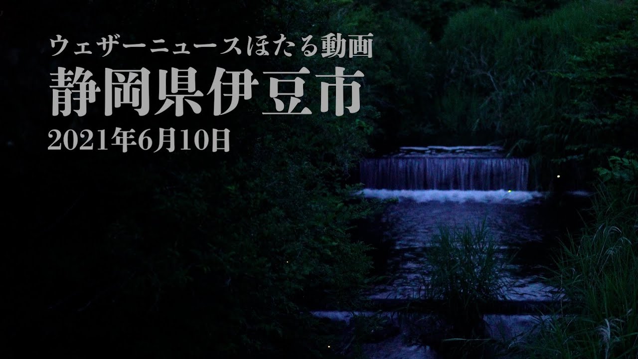 【超高感度撮影】ほたる絶景ムービー 静岡県伊豆市 2021.6.10