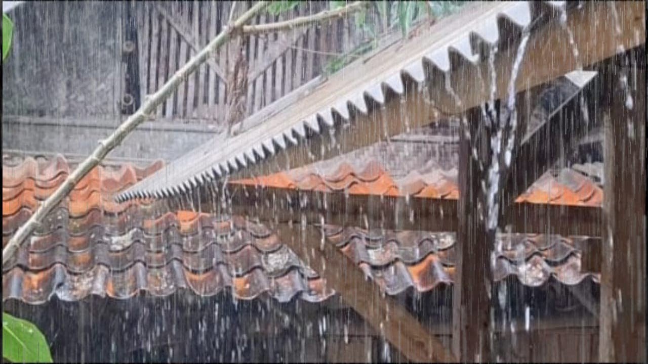 Самые желанные звуки дождя 🌧️ | Мгновенное засыпание и снятие стресса