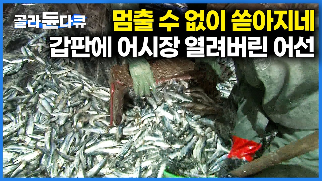 갑판 위 어시장 뺨치는 어마무시한 고기가 마구 쏟아진다. 제대로 풍어 맞은 어선｜기름가자미 잡이｜극한직업｜#골라듄다큐