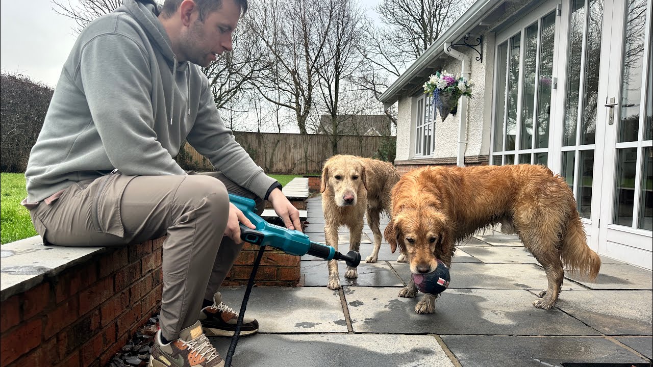 We Power Washed Our Dogs! Is It Quicker??