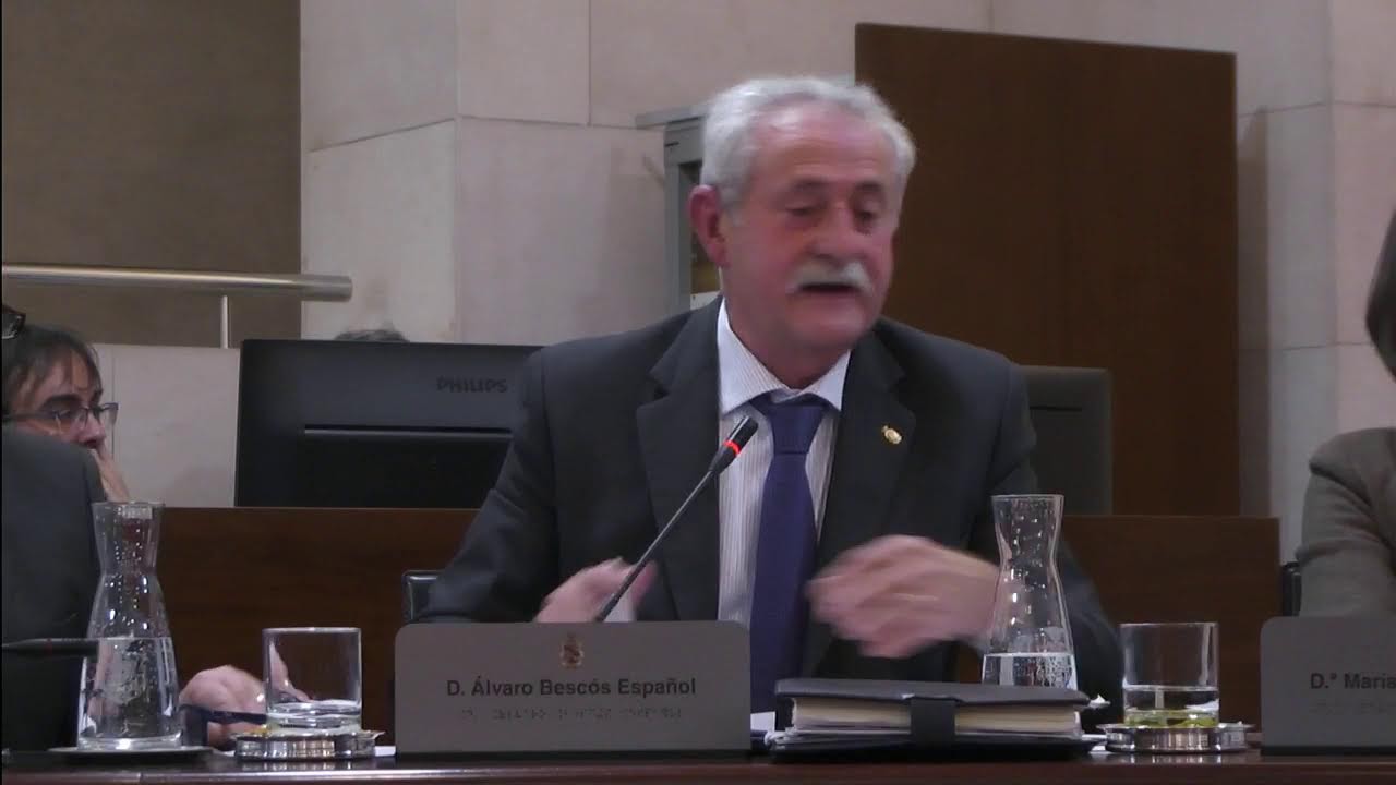 Pleno ordinario. Enero 2026
