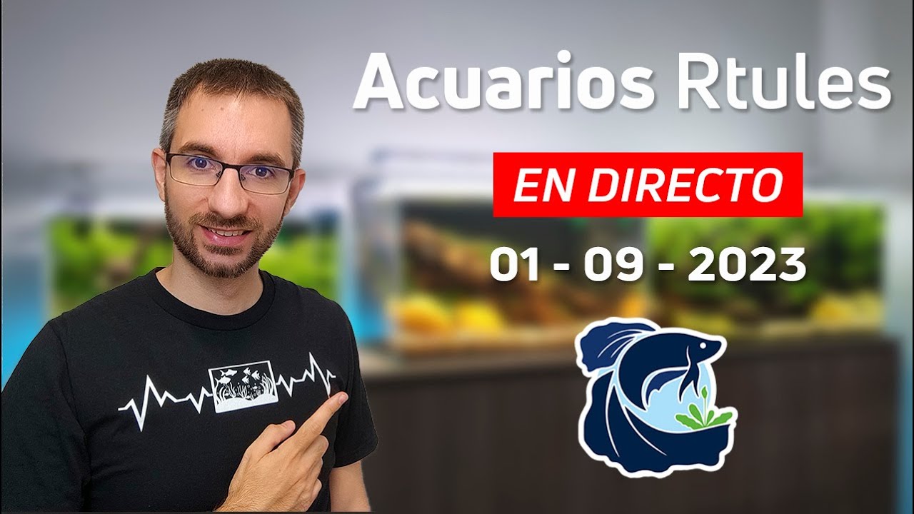 🔴 DIRECTO! ¡Estoy de vuelta! Charlemos un rato - AcuariosRtules