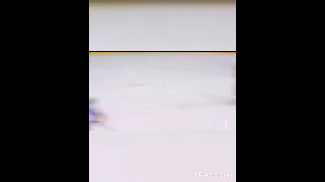 Schweiz - Deutschland 1:0 Eishockey Wm Viertelfinale